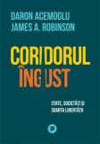 Coridorul ingust. State, societati si soarta libertatii/Daron Acemoglu, James A. Robinson, Publica