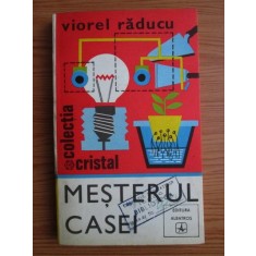 Viorel Raducu - Mesterul casei