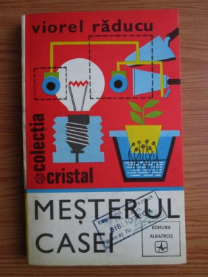 Viorel Raducu - Mesterul casei foto