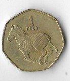 Moneda 1 pula 1991 - Botswana, Africa, Cupru-Nichel