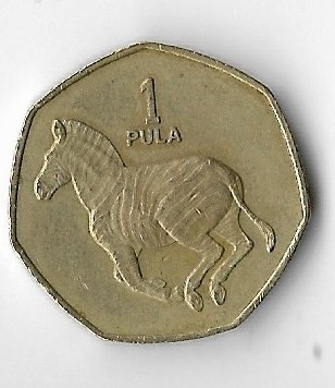 Moneda 1 pula 1991 - Botswana foto