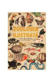 Zoologia ilustrată - Hardcover - Maria Carmen Soria - Didactica Publishing House