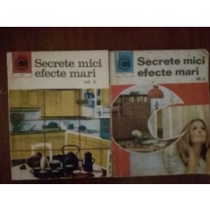 Secrete mici, efecte mari 1, 2 nr. 38, 41 Mariana Ionescu