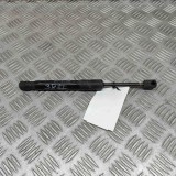 Amortizor capota dreapta față TESLA MODEL Y 2022 OEM: 1692576-00-A 29982666