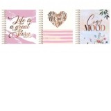 Agenda A5 nedatata, 184&amp;amp;times;214 mm, 96 file DACO, AN528 (diverse modele)