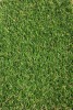 Gazon Artificial Jakarta, Inaltime Fir 20 mm, Latime 1m, Marime 100 x 100 cm, Verde cu Insertii Fire Iarba Uscata, Polipropilena, Antialergic, Curte,