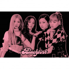 Poster Maxi Black Pink - 91.5x61 - Group Pink