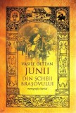 Junii din Scheii Brasovului | Vasile Oltean