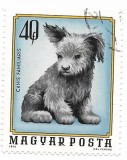 Ungaria - Animale domestice,, 1974 - valori obliterate