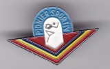 INSIGNA PIONIER Pionier sportiv Aluminiu vopsit, Romania de la 1950