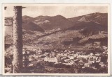 bnk cp Campulung Moldovenesc - Vedere generala - circulata 1952 - Libraria noastra