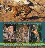 Timbre Liberia 2023, Tigri, Bloc, Colectie, Timbre Straine, Tema Animale Salbatice