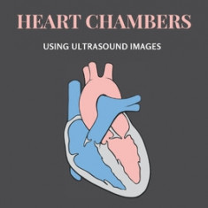 Analysis and Investigation of Hydrops Fetalis and Curvature of Fetal Heart Chambers Using Ultrasound Images