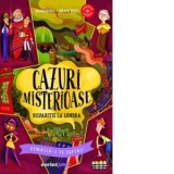 Cazuri misterioase. Disparitie la Londra - Ludovic Stefan Skultety, Johan Heliot