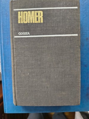 Homer - Odiseea foto