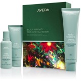 Aveda Holiday Scalp Serenity: Scalp Solutions&trade; Balancing Essentials set cadou de Crăciun pentru păr