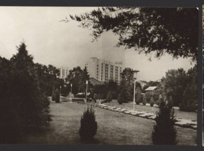 CPIB 22001 - CARTE POSTALA - TURNU MAGURELE. VEDERE DIN PARC, NECIRCULATA foto