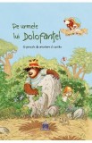 Cumpara ieftin Pe urmele lui Dolofantel