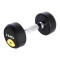 Gantera cu greutate fixa HMS HG PRO 4kg,