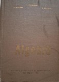 Algebra by E. Arghiriade - English Book
