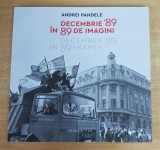 Decembrie 89 in 89 de imagini - Andrei Pandele