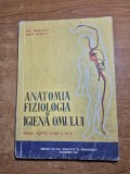 Anatomia fiziologia si igiena omului - manual pentru clasa a 7-a - din anul 1961