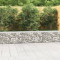 Perete gabion cu capace, 300 x 50 x 50 cm, otel galvanizat GartenMobel Dekor