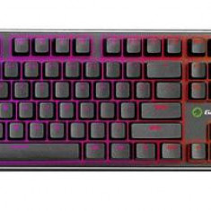 Tastatura Gaming Mecanica Gamemax KG901 (Negru)