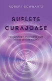 Suflete curajoase. Ne planificam incercarile vietii inainte de a ne naste? Editie revizuita , Robert Schwartz