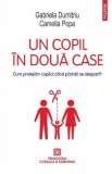 Un copil in doua case - Gabriela Dumitriu, Camelia Popa
