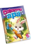Colorez cu apa 2: Iepure
