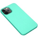 Husa TPU OEM Starry Series pentru Apple iPhone 12 Pro Max, Vernil