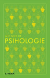 Mic ghid de psihologie - Paperback brosat - *** - Litera