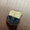 Insigne (3) Industrie Ploiesti