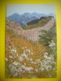 HOPCT 5663 PRIMAVARA LA MARELE ZID CHINEZESC -CHINA -ASIA-NECIRCULATA, Printata