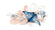 Sticker decorativ Pisica de mare, Albastru, 85 cm, 5889ST foto