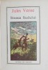 Steaua Sudului - Jules Verne - Carte de Povesti pentru Copii
