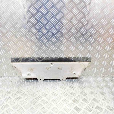 Alt scut motor TESLA MODEL S 2017 foto