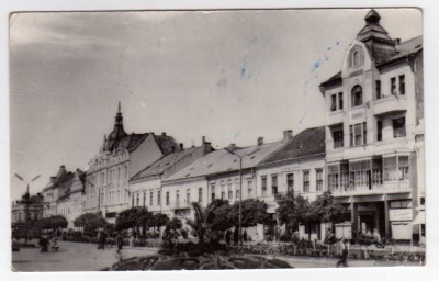 SATU MARE PIATA LIBERTATII RPR foto