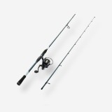 Set pescuit cu năluci &icirc;n mare ILICIUM-100 230 10-40g