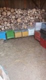 Lăzi Albine (10 și 16 rame) &ndash; Stare Bună &ndash;