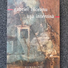 USA INTERZISA - Gabriel Liiceanu