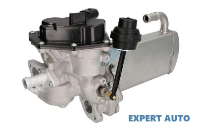Egr Audi A6 (2011-2014) [4G2, C7] #1 foto