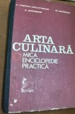 ARTA CULINARA MICA ENCICLOPEDIE PRACTICA