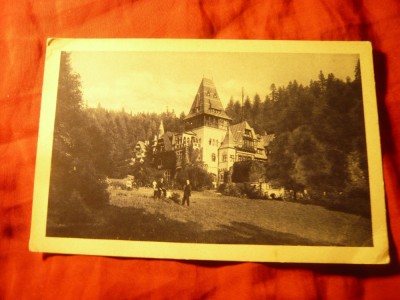 Ilustrata Castelul Pelisor interbelica Colectia C.Stefanovici foto