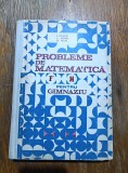Probleme de matematica pentru gimnaziu - I. Petrica / R8P2F, Alta editura