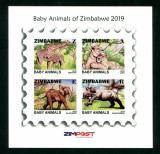 ZIMBABWE 2019 FAUNA PUI DE ANIMALE DE SALBATICE