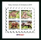 ZIMBABWE 2019 FAUNA PUI DE ANIMALE DE SALBATICE, Nestampilat