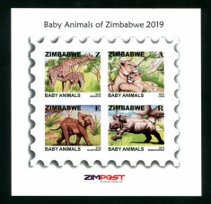 ZIMBABWE 2019 FAUNA PUI DE ANIMALE DE SALBATICE foto