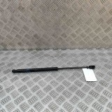 Amortizor capota dreapta față FORD USA Mustang Mach-E 2023 OEM: LJ8B-R16C826-AB 24539808